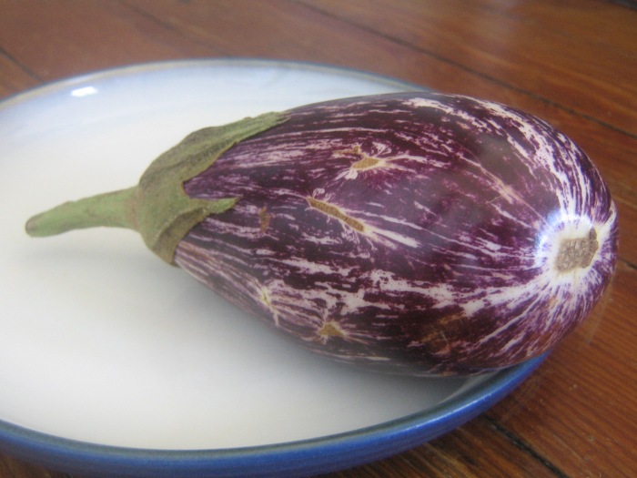 Elegant eggplant